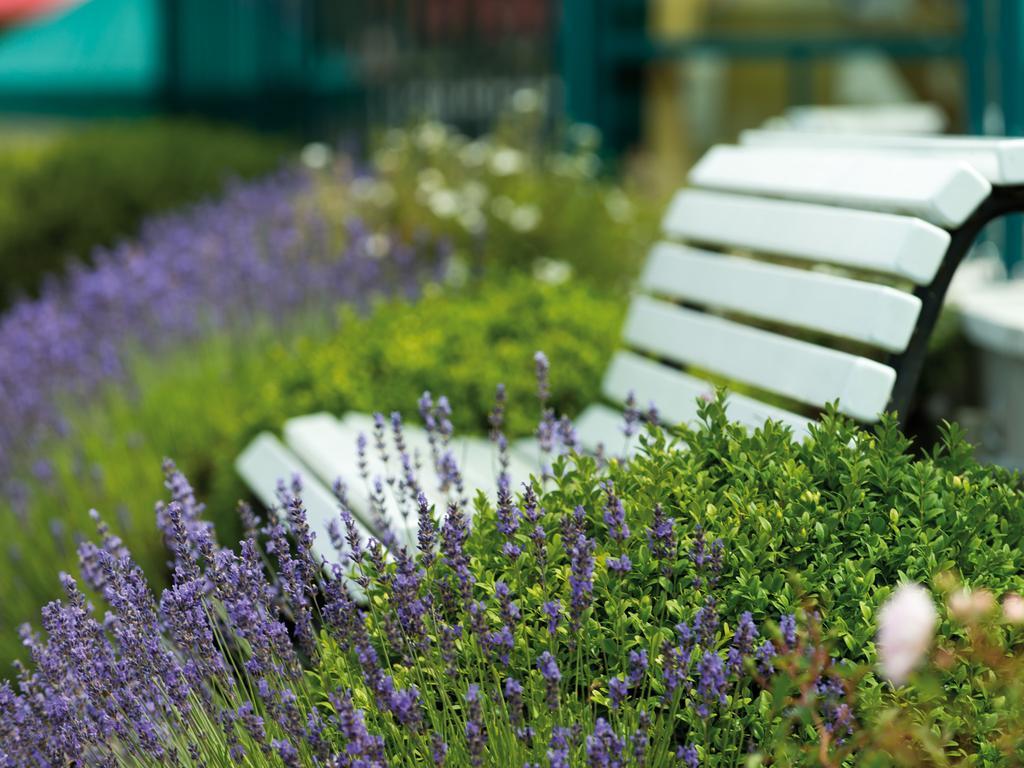 A-Rosa Ostseehotel Ostseebad Kühlungsborn Екстериор снимка